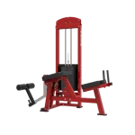 Dynamic Prone Leg Curl